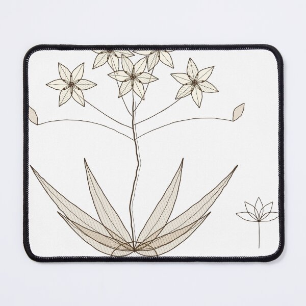Item preview, Vintage Botanical Sketch - Star Flower Plant Illustration designed and sold by Decorta.