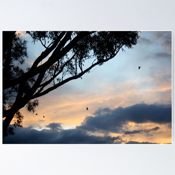 Item preview, Sunset designed and sold by Jodie Cooper.