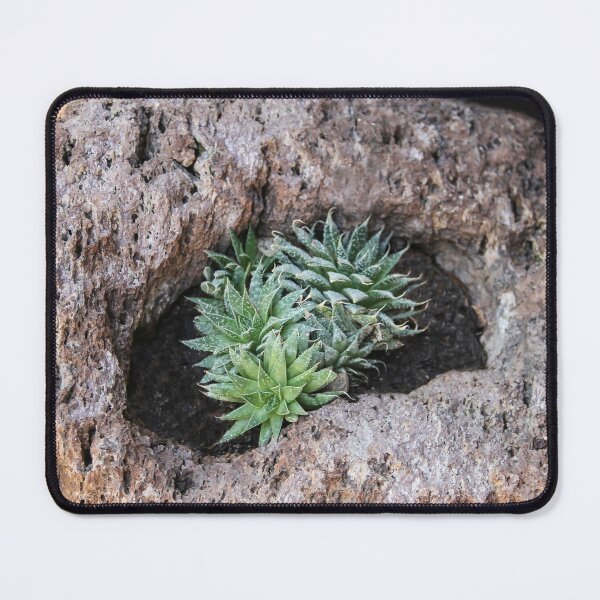 Item preview, Home On the Rock! designed and sold by heatherfriedman.