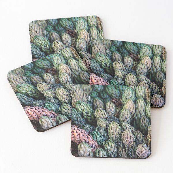 Item preview, So Many Succulents! designed and sold by heatherfriedman.