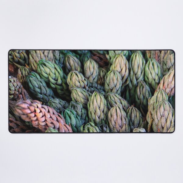 Item preview, So Many Succulents! designed and sold by heatherfriedman.