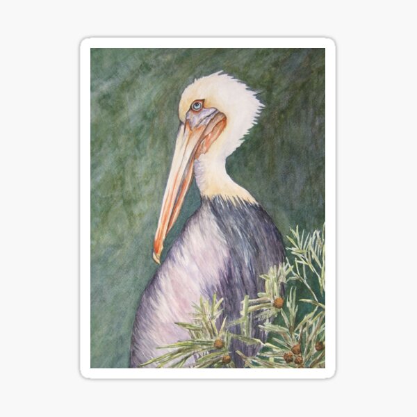 Sanibel Pelican Sticker