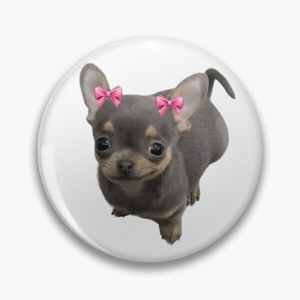Item preview, Smirking Chihuahua Coquette Bow Meme designed and sold by yum eggy cat.