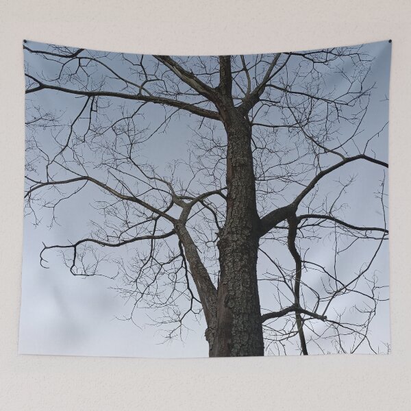 Item preview, Bare Tree Branches Symmetrical Gothic Nature Pattern designed and sold by PicturePic.