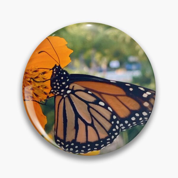 Item preview, Monarch Butterfly in DC designed and sold by EsjCreative.