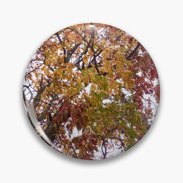 Item preview, Autumn Tree of Many Colors designed and sold by Amanda1775.