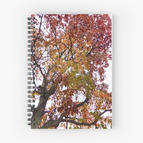Item preview, Autumn Tree of Many Colors designed and sold by Amanda1775.