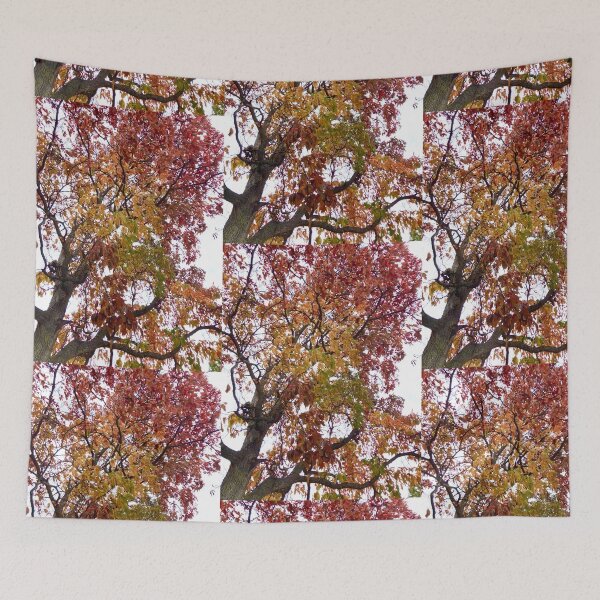 Item preview, Autumn Tree of Many Colors designed and sold by Amanda1775.