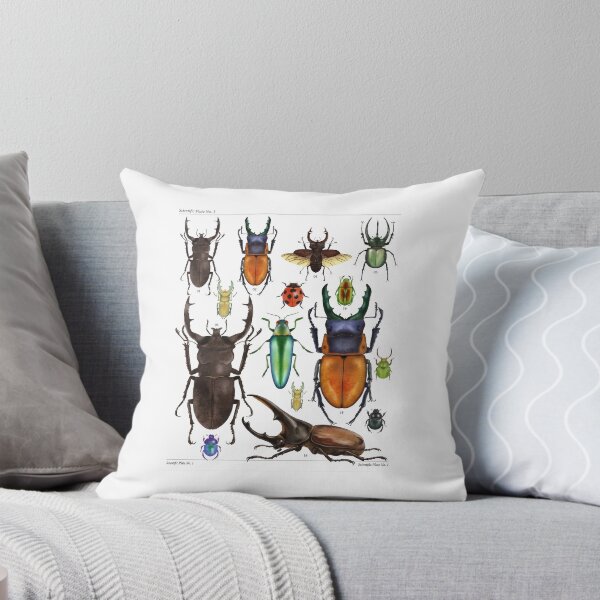 Item preview, Vintage Beetle Scientific Plate - Stag Beetle, Hercules Beetle, Jewel Beetle Entomology Illustration designed and sold by EarthAlly.