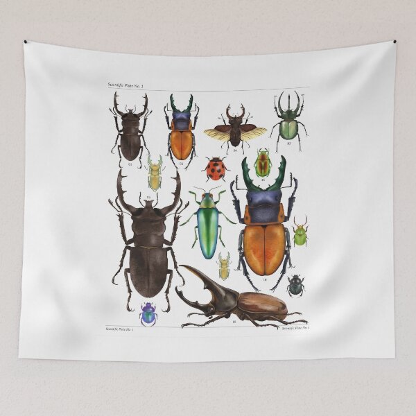 Item preview, Vintage Beetle Scientific Plate - Stag Beetle, Hercules Beetle, Jewel Beetle Entomology Illustration designed and sold by EarthAlly.