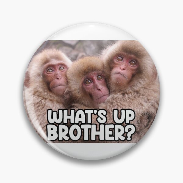 Item preview, Whats Up Brother; Phrase; designed and sold by StickerApe.