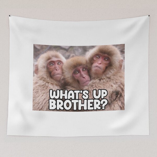 Item preview, Whats Up Brother; Phrase; designed and sold by StickerApe.