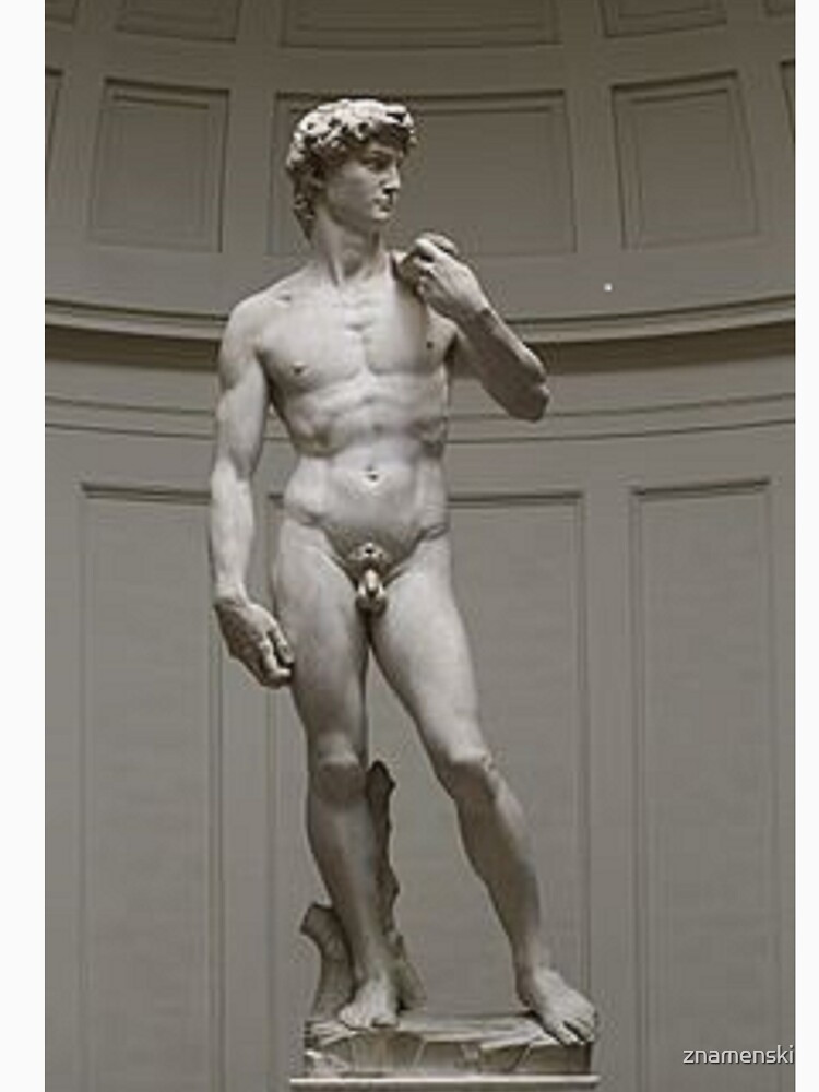 David by Michelangelo #David #Michelangelo #DavidbyMichelangelo #masterpiece Renaissance sculpture by znamenski