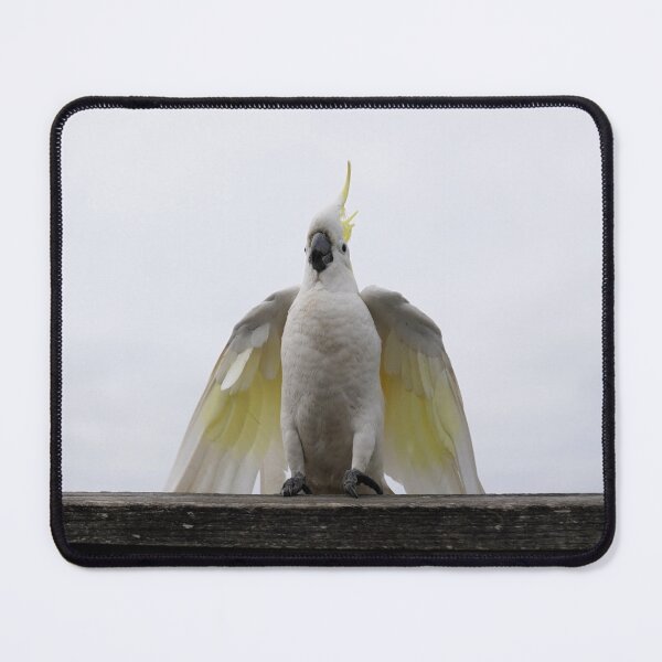 Item preview, THE CAPED CRUSADER designed and sold by Annalucia.