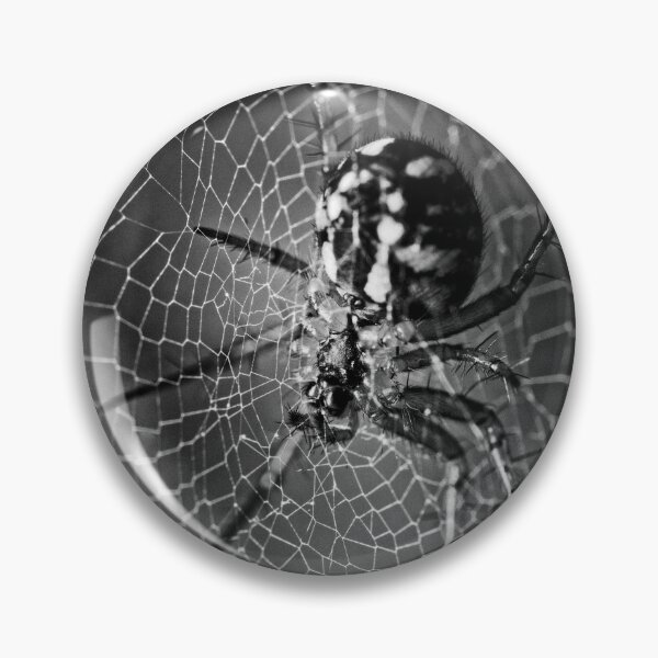 Item preview, Black and White Orb Weaver Spider on Its Web designed and sold by Rabee Khalil Photography.