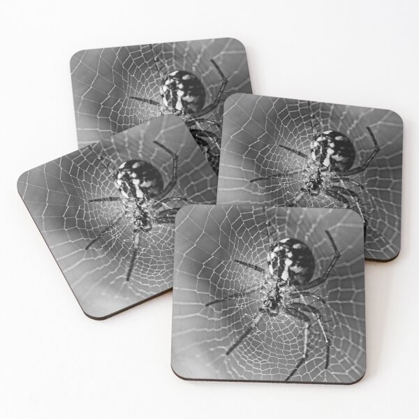 Item preview, Black and White Orb Weaver Spider on Its Web designed and sold by Rabee Khalil Photography.