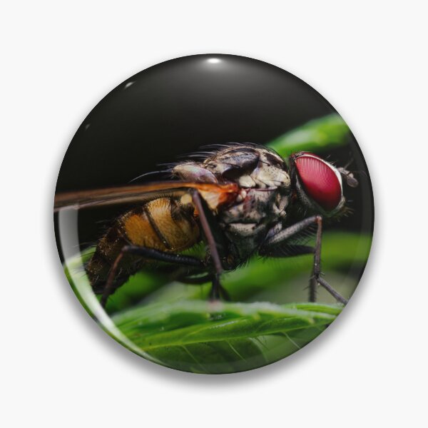 Item preview, Red-Eyed Fly on a Green Leaf, Macro designed and sold by Rabee Khalil Photography.