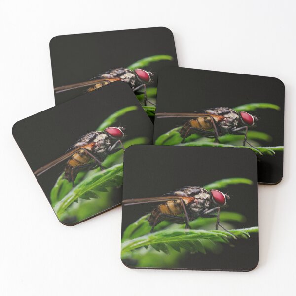 Item preview, Red-Eyed Fly on a Green Leaf, Macro designed and sold by Rabee Khalil Photography.