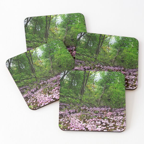 Item preview, Cyclamens in the woods designed and sold by annalisa56.