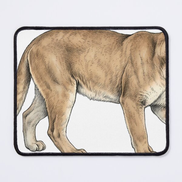 Item preview, Vintage Naturalist Stalking Mountain Lion — Antique Wild Cat Art designed and sold by Catch333.