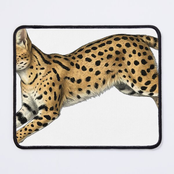 Item preview, Vintage Naturalist Leaping Serval — Antique Wild Cat Art designed and sold by Catch333.