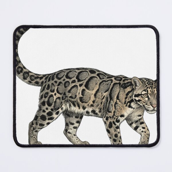 Item preview, Vintage Naturalist Prowling Clouded Leopard — Antique Big Cat Art designed and sold by Catch333.