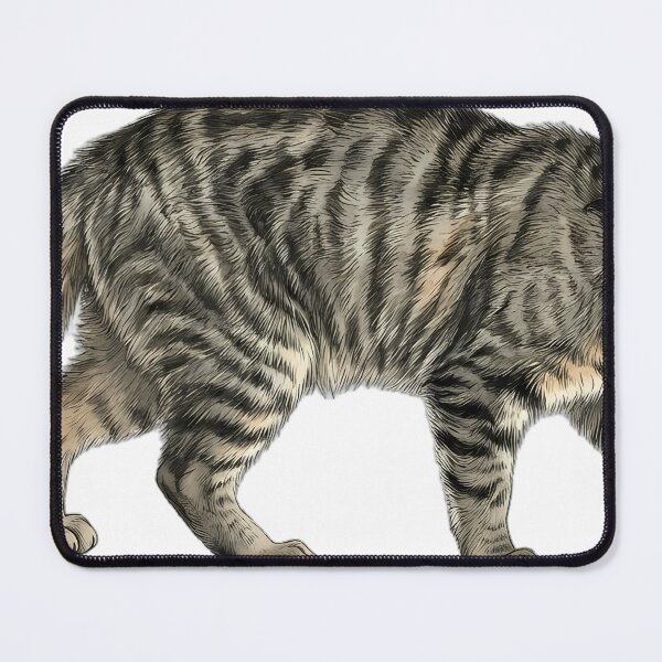 Item preview, Vintage Naturalist Padding European Wildcat — Antique Wild Cat Art designed and sold by Catch333.