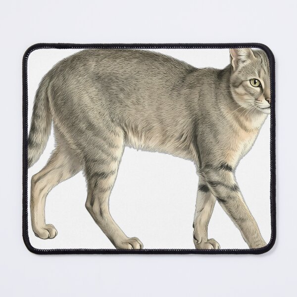Item preview, Vintage Naturalist Striding Jungle Cat — Antique Wild Cat Art designed and sold by Catch333.