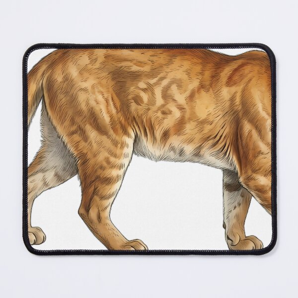 Item preview, Vintage Naturalist Padding Asiatic Golden Cat — Antique Wild Cat Art designed and sold by Catch333.
