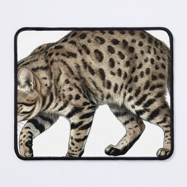 Item preview, Vintage Naturalist Stalking Black Footed Cat — Antique Wild Cat Art designed and sold by Catch333.