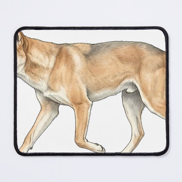 Item preview, Vintage Naturalist Trotting Dingo — Antique Wild Canid Art designed and sold by Catch333.