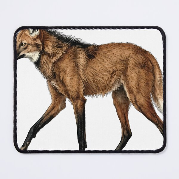 Item preview, Vintage Naturalist Striding Maned Wolf — Antique Wild Canid Art designed and sold by Catch333.