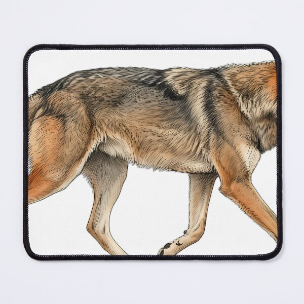 Item preview, Vintage Naturalist Loping Red Wolf — Antique Wild Canid Art designed and sold by Catch333.