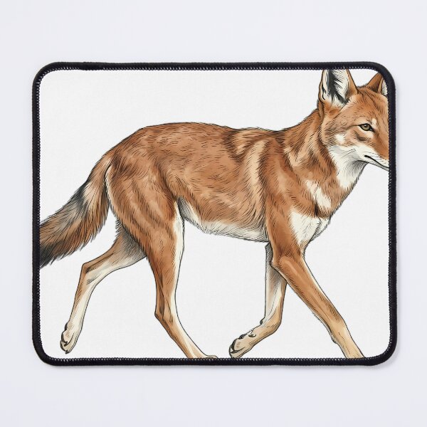 Item preview, Vintage Naturalist Trotting Ethiopian Wolf — Antique Wild Canid Art designed and sold by Catch333.