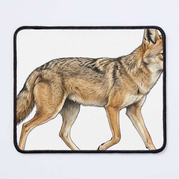Item preview, Vintage Naturalist Trotting African Golden Wolf — Antique Wild Canid Art designed and sold by Catch333.