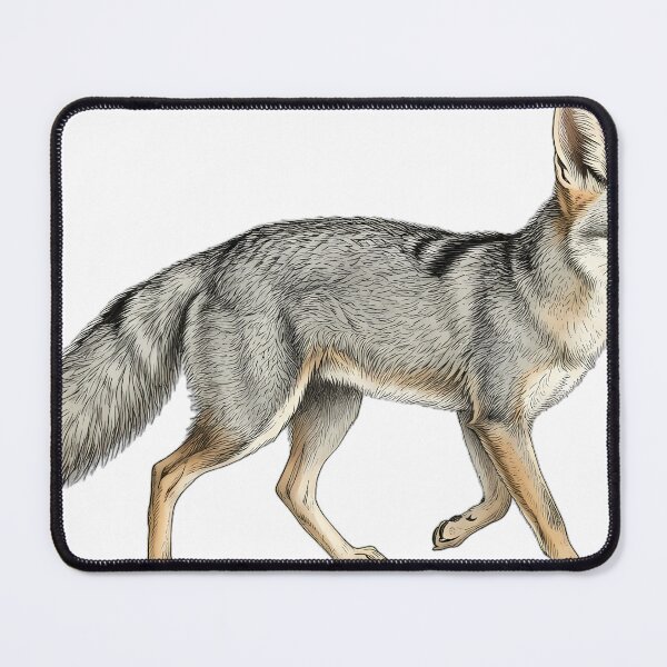 Item preview, Vintage Naturalist Trotting Cape Fox — Antique Wild Canid Art designed and sold by Catch333.