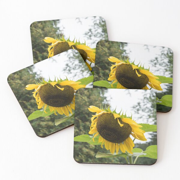 Item preview, Golden Yellow Sunflower in Full Bloom designed and sold by Georgia Mizuleva.