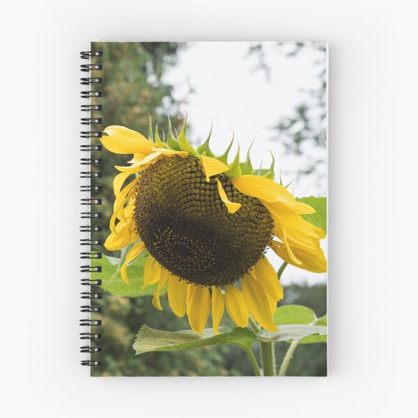 Item preview, Golden Yellow Sunflower in Full Bloom designed and sold by Georgia Mizuleva.