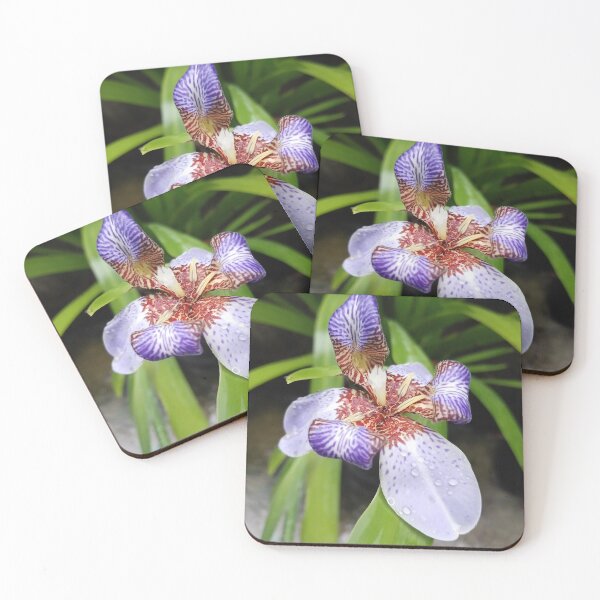 Item preview, Walking Iris designed and sold by paulcardenas.