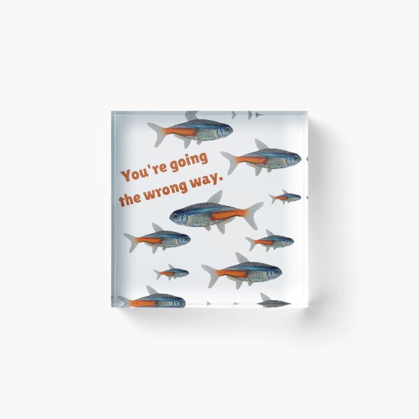 Item preview, Fish with saying designed and sold by OnaleeNicklinArt.