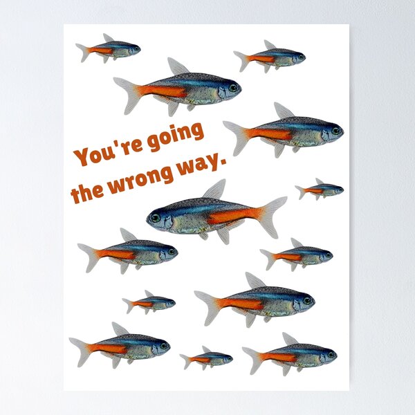 Item preview, Fish with saying designed and sold by OnaleeNicklinArt.