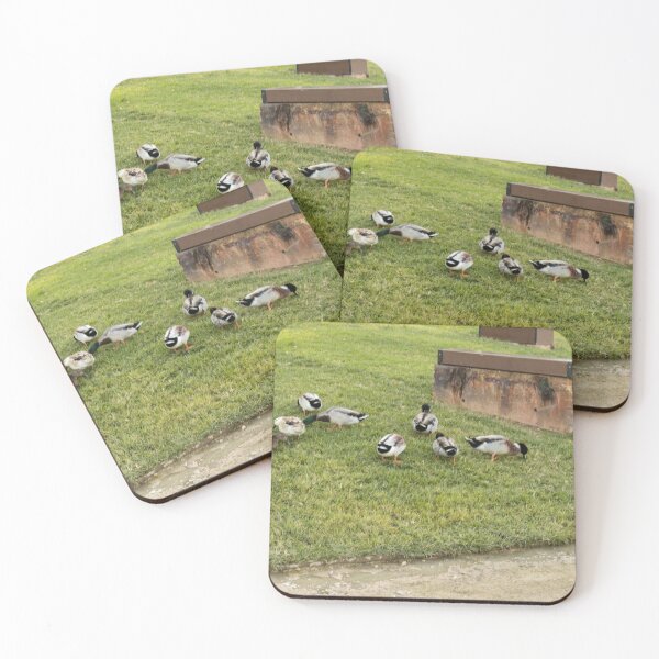 Item preview, Group of Mallard Ducks Resting on Grass Near Pond in Urban Park designed and sold by Nmallia.