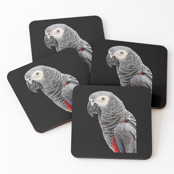 Item preview, African Grey Parrot Psittacus Bird (30) designed and sold by LevernePrickles.