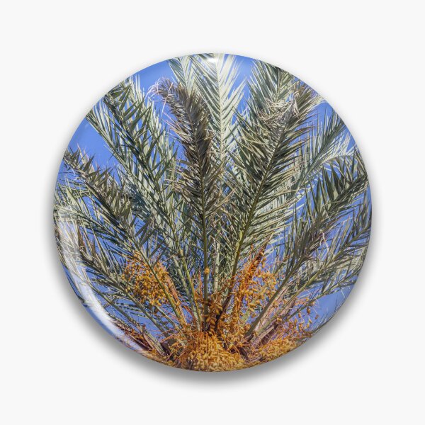 Item preview, Close-Up Top of Date Palm Tree With Ripe Fruit Clusters Against Clear Blue Sky designed and sold by Nmallia.