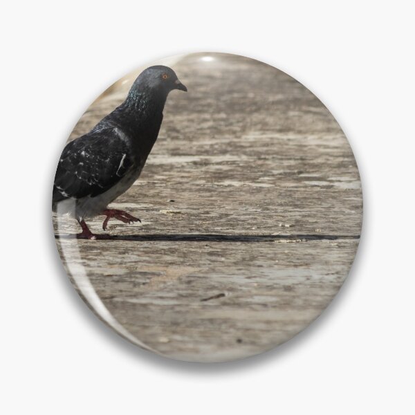 Item preview, Urban Pigeon Walking on Sunlit Concrete Ledge With Long Shadow in Cityscape designed and sold by Nmallia.