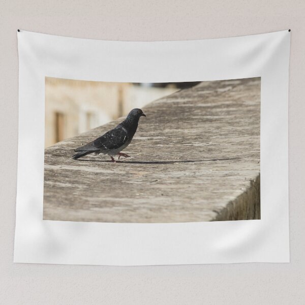 Item preview, Urban Pigeon Walking on Sunlit Concrete Ledge With Long Shadow in Cityscape designed and sold by Nmallia.