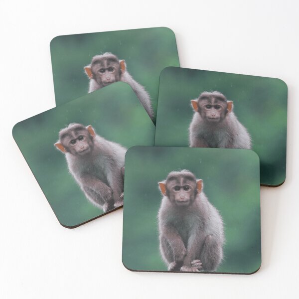 Item preview, Cute Monkey Primate Wildlife designed and sold by Daniel-Hacklaw.