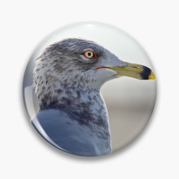 Item preview, Coastal Watch — Seagull Portrait designed and sold by Kimberly Palmer.