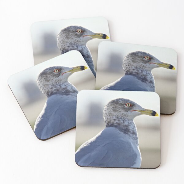 Item preview, Coastal Watch — Seagull Portrait designed and sold by Kimberly Palmer.