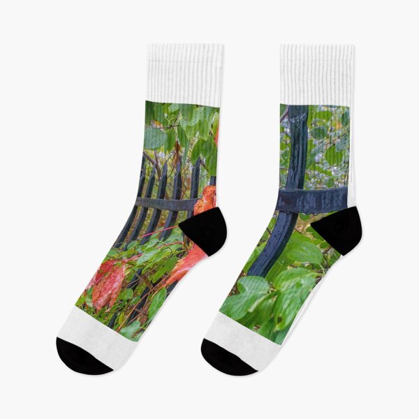 Item preview, Autumn Rain designed and sold by Darrell Kroulik.
